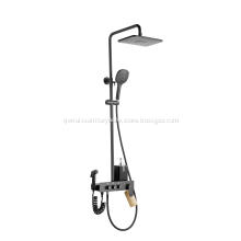 Black Shower Mixer With Bidet Sprayer